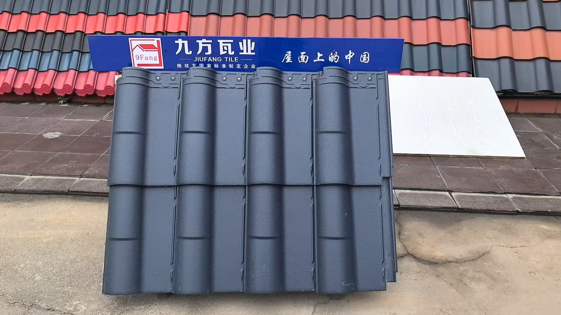 AG真人国际摘要2025第11期